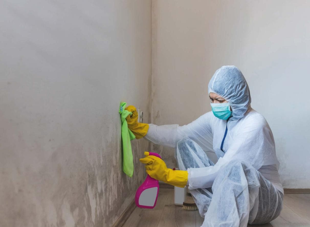 Dampness & Mould Remediation